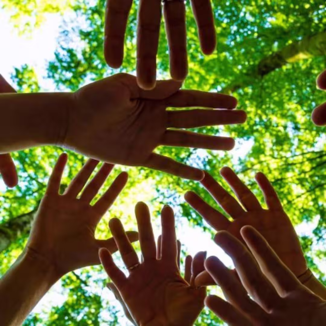 Grupo de personas colaborando en la naturaleza